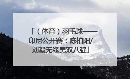（体育）羽毛球——印尼公开赛：陈柏阳/刘毅无缘男双八强