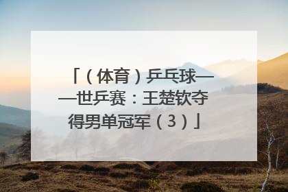 （体育）乒乓球——世乒赛：王楚钦夺得男单冠军（3）