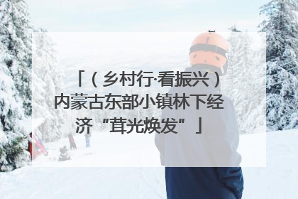 （乡村行·看振兴）内蒙古东部小镇林下经济“茸光焕发”