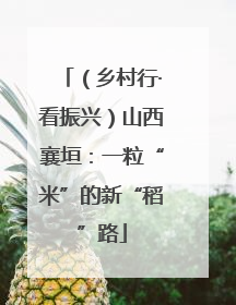 （乡村行·看振兴）山西襄垣：一粒“米”的新“稻”路