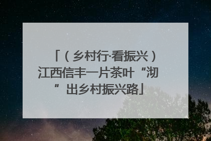 （乡村行·看振兴）江西信丰一片茶叶“沏”出乡村振兴路