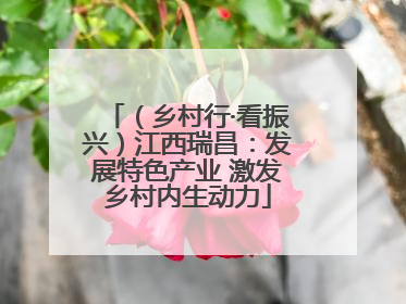 （乡村行·看振兴）江西瑞昌：发展特色产业 激发乡村内生动力