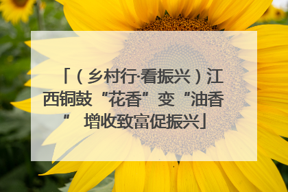 （乡村行·看振兴）江西铜鼓“花香”变“油香” 增收致富促振兴