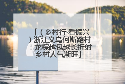 （乡村行·看振兴）浙江义乌何斯路村：龙粽越包越长折射乡村人气渐旺