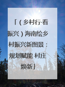 （乡村行·看振兴）海南绘乡村振兴新图景：规划赋能 村庄焕新