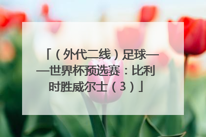（外代二线）足球——世界杯预选赛：比利时胜威尔士（3）