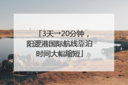 3天→20分钟，阳逻港国际航线靠泊时间大幅缩短
