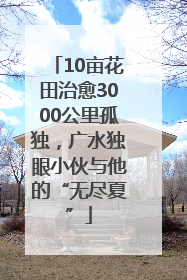 10亩花田治愈3000公里孤独，广水独眼小伙与他的“无尽夏”