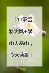 11级雷暴大风+暴雨大暴雨，今天就到