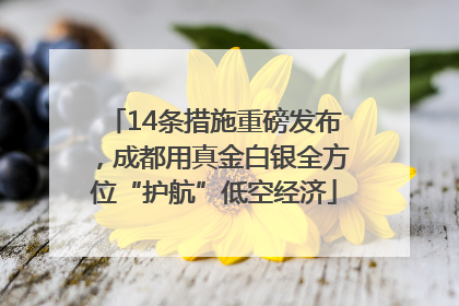 14条措施重磅发布，成都用真金白银全方位“护航”低空经济