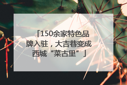 150余家特色品牌入驻，大吉巷变成西城“菜古里”