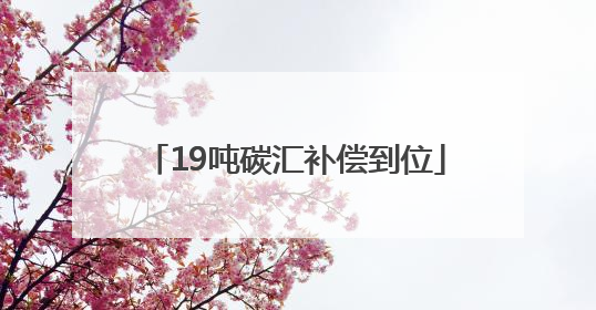 19吨碳汇补偿到位
