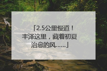 2.5公里慢道！丰泽这里，藏着初夏治愈的风……