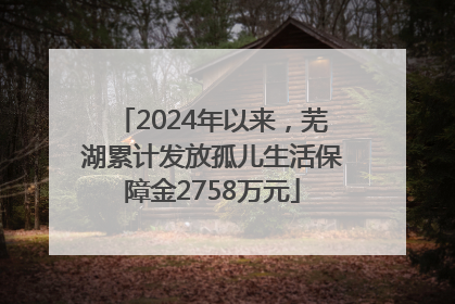 2024年以来，芜湖累计发放孤儿生活保障金2758万元