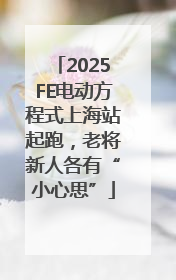 2025FE电动方程式上海站起跑，老将新人各有“小心思”
