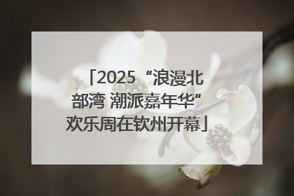 2025“浪漫北部湾 潮派嘉年华”欢乐周在钦州开幕