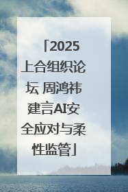 2025上合组织论坛 周鸿祎建言AI安全应对与柔性监管