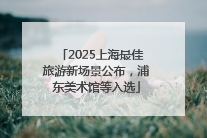 2025上海最佳旅游新场景公布，浦东美术馆等入选