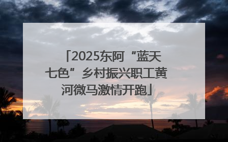 2025东阿“蓝天七色”乡村振兴职工黄河微马激情开跑