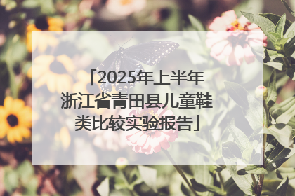 2025年上半年浙江省青田县儿童鞋类比较实验报告