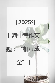 2025年上海中考作文题：“相互成全”