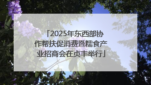 2025年东西部协作帮扶促消费暨糯食产业招商会在贞丰举行