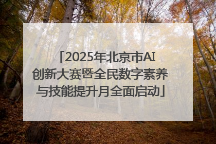 2025年北京市AI创新大赛暨全民数字素养与技能提升月全面启动
