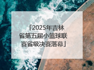 2025年吉林省第五届小篮球联赛省级决赛落幕