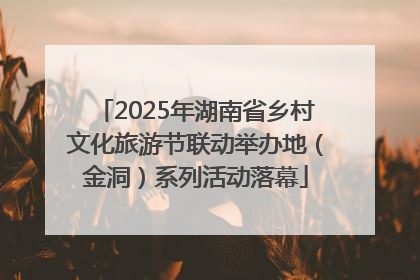 2025年湖南省乡村文化旅游节联动举办地（金洞）系列活动落幕