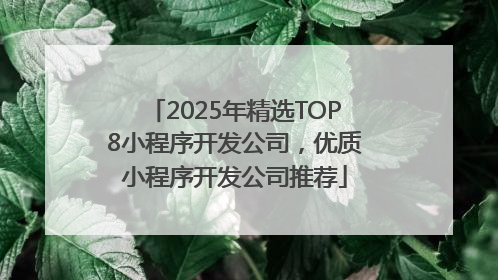 2025年精选TOP8小程序开发公司，优质小程序开发公司推荐
