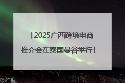 2025广西跨境电商推介会在泰国曼谷举行
