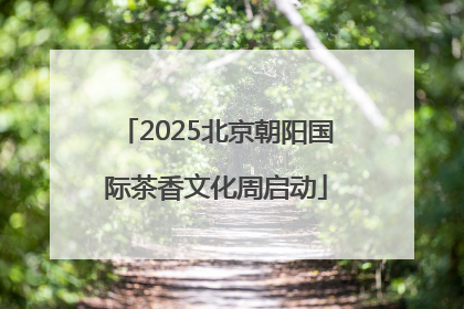 2025北京朝阳国际茶香文化周启动