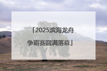 2025滨海龙舟争霸赛圆满落幕