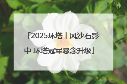 2025环塔丨风沙石影中 环塔冠军悬念升级