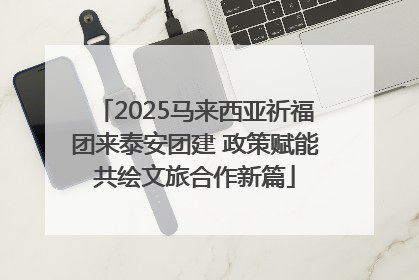 2025马来西亚祈福团来泰安团建 政策赋能共绘文旅合作新篇