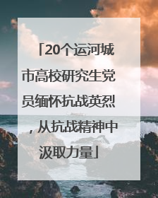 20个运河城市高校研究生党员缅怀抗战英烈，从抗战精神中汲取力量