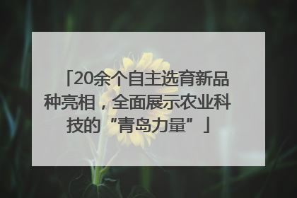 20余个自主选育新品种亮相，全面展示农业科技的“青岛力量”