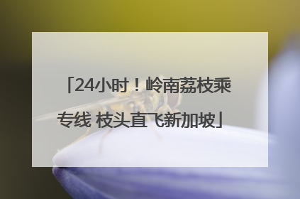 24小时！岭南荔枝乘专线 枝头直飞新加坡
