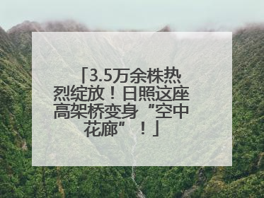 3.5万余株热烈绽放！日照这座高架桥变身“空中花廊”！