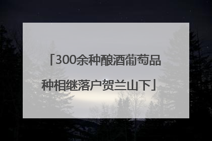 300余种酿酒葡萄品种相继落户贺兰山下
