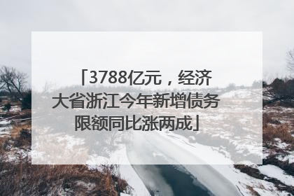 3788亿元，经济大省浙江今年新增债务限额同比涨两成