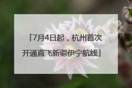 7月4日起，杭州首次开通直飞新疆伊宁航线