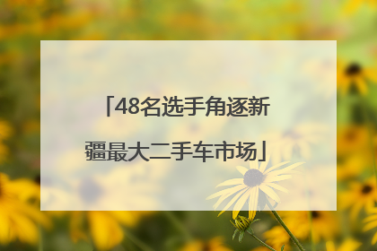48名选手角逐新疆最大二手车市场