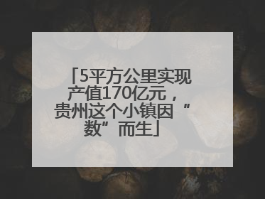 5平方公里实现产值170亿元，贵州这个小镇因“数”而生