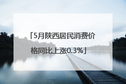 5月陕西居民消费价格同比上涨0.3%