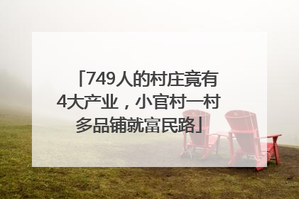 749人的村庄竟有4大产业，小官村一村多品铺就富民路