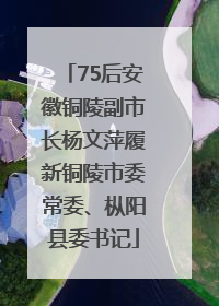 75后安徽铜陵副市长杨文萍履新铜陵市委常委、枞阳县委书记