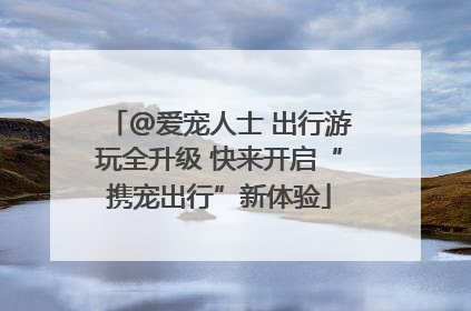 @爱宠人士 出行游玩全升级 快来开启“携宠出行”新体验