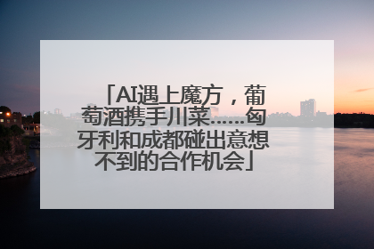 AI遇上魔方，葡萄酒携手川菜……匈牙利和成都碰出意想不到的合作机会