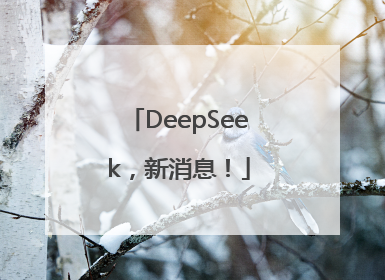DeepSeek，新消息！